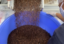 Mua Cà Phê Nguyên Chất Giá Rẻ Ở Đâu Tại TP.HCM?