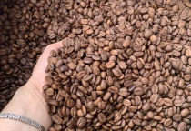 Mua Cà Phê Nguyên Chất Giá Rẻ Ở Đâu Tại Biên Hòa?