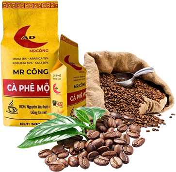 Tin tức & Sự kiện
